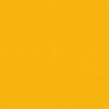 Gold Yellow 